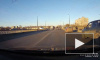 В сети появилось забавное видео из Твери: собака управляет авто