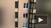 Опасный аттракцион с высунувшимся из окна ребенком обеспокоил жителей Нового Девяткино