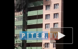 В Шушарах полностью выгорела квартира в новостройке