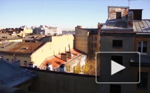 В Петербурге мальчик упал с 16 этажа и разбился насмерть