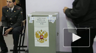 Как наблюдатели в Приморском районе с "карусельщиками" боролись