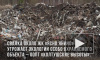 Мусорные свалки в Янино угрожают охраняемому ЮНЕСКО природному объекту "Колтушские высоты"