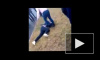 В сети появилось видео жуткой драки между школьницами из Удмуртии