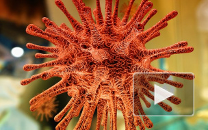 Названы регионы России с новыми случаями коронавируса за сутки