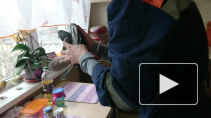 Видео: голубя на Белградской вытащили из вентиляционной трубы воркованием 