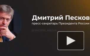 Песков заявил, что Россия заинтересована в развитии отношений с Аргентиной