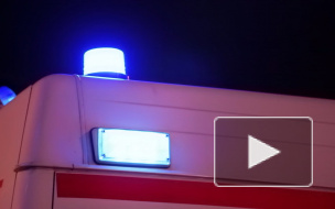 Таиланд выплатит семье погибших детей из России более 8 млн рублей