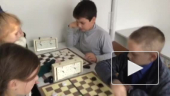 шашки