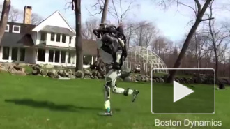 Робот от BostonDynamics совершает утренние пробежки на свежем воздухе