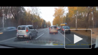 Видео: в Воронеже котенка спасли из-под колес автомобилей 