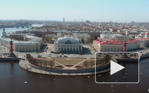 Санкт-Петербург стал лучшим городом для летних гастрономических путешествий