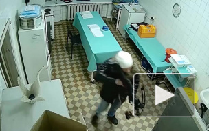 Видео: В Озерске банда напала на станцию "скорой" с арбалетом 