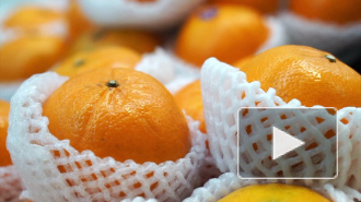 Россельхознадзор временно запретил ввоз цитрусовых из Китая