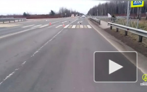 В Кировском районе ищут водителя, насмерть сбившего пешехода