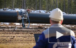 "Газпром" поставил под угрозу "Силу Сибири"