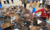 Вьетнамские полицейские конфисковали несколько тысяч “съедобных” кошек