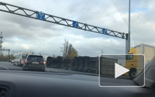 На Колпинском шоссе фура завалилась на бок: собралась пробка