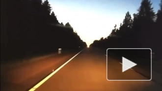 Момент столкновения машины с лосем на Мурманском шоссе попал на видео