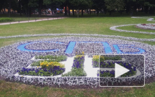 В Александровском саду открылся яркий "Фестиваль цветов"