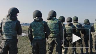В США назвали нереальным вступление Украины в НАТО