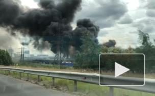 МЧС: в районе "Мега Дыбенко" горят мусор и покрышки