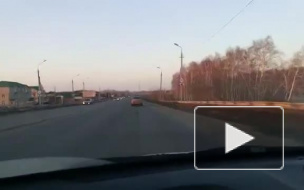 Омич задержал пьяного водителя с пачкой сигарет вместо прав