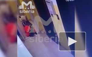 В Новосибирске бойцовская собака напала на школьника в подъезде