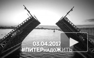 #ПИТЕРнадоЖИТЬ: Звезды российского шоубизнеса записали видеообращение к жителям Санкт-Петербурга