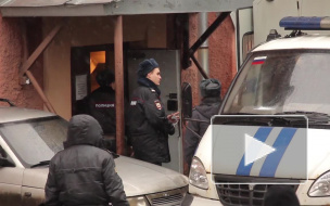 10-летняя девочка стала жертвой отца-педофила в Подмосковье