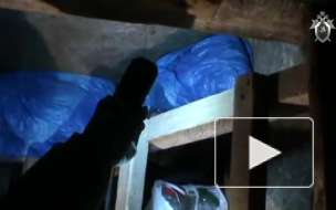 Жуткое видео из Магадана: Мужчина отсидел в тюрьме за избиение сожительницы, вышел и забил ее насмерть