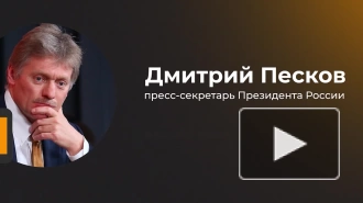 В Кремле прокомментировали слова Залужного о тупике на поле боя