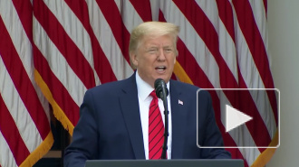 Трамп прокомментировал информацию о планах кражи КНР данных по COVID-19