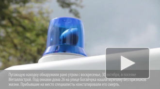 Жителя Металлострая нашли разбившимся насмерть около собственного дома