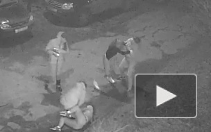 Жесткое видео из Карелии: девушки устроили массовую драку на парковке