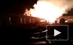 В Приморье сгорела птицеферма