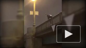 Человек в горящей куртке сорвался с Крестовского моста