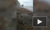 На Сахалине мощный шторм выбросил рыболовное судно на берег