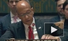 Зампостпреда США при ООН не исключил новых ударов по Ираку и Сирии