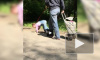 В Екатеринбурге странная бабушка выгуливала внучку на поводке и играла с ней "в кошечек"