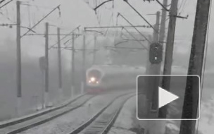 Из-за технических неполадок на два часа задержали поезд Самара – Петербург