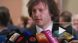 Премьер Грузии назвал инцидент с флагом России в Тбилиси бескультурьем