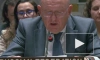 Небензя назвал резолюцию США по Газе "котом в мешке"