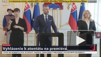 В Словакии призвали приостановить предвыборную кампанию в Европарламент