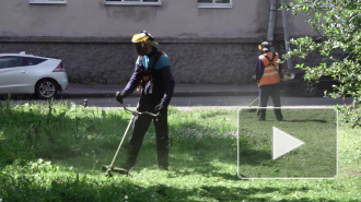 Видео: в Выборге косят траву и ухаживают за газонами