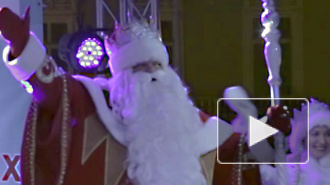 Дед Мороз зажег на главной елке Петербурга