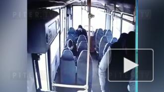 Полиция задержала мужчину, который напал на водителя маршрутки с ножом в Горелово
