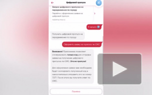 В Москве не планируют вводить пропуска для пешеходов