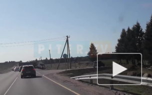 В Ломоносовском районе "Киа" столкнулась с грузовиком