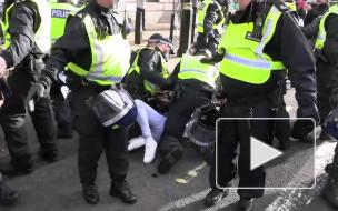 В Лондоне на акции протеста задержали 29 человек
