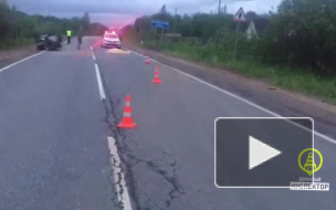 В ДТП в области погиб водитель квадроцикла 